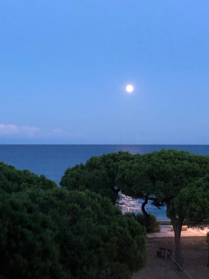 Apartment Direkt Am Strand Blanes Eksteriør bilde